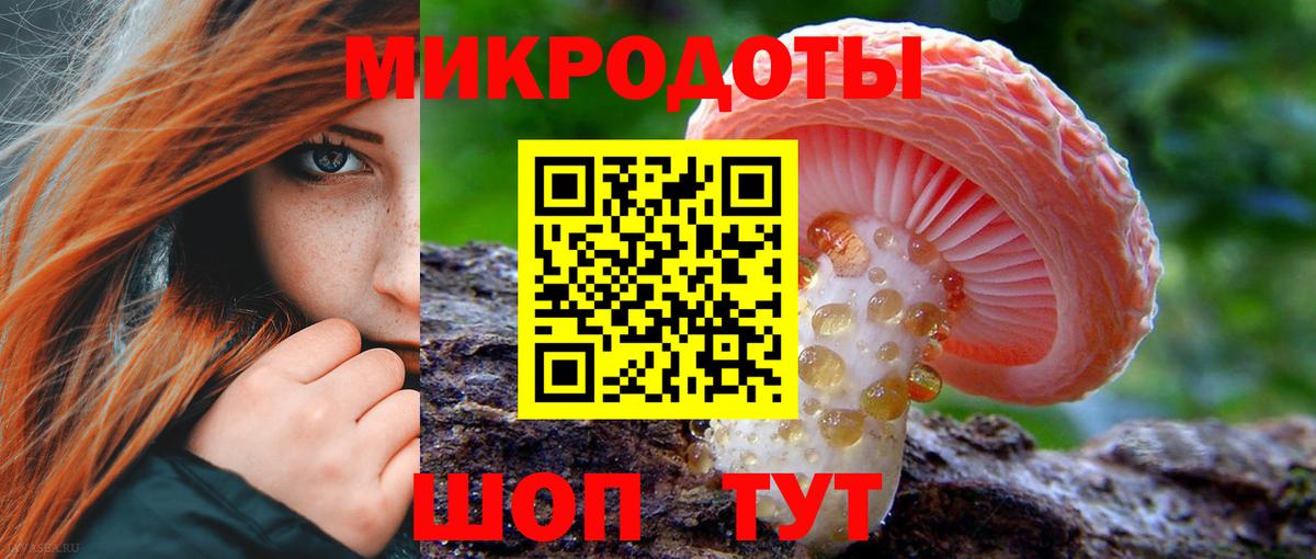 Галлюциногенные грибы Psilocybine cubensis Усть-Джегута